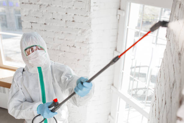 Best HVAC Mold Inspection and Cleaning  in Coachella, CA