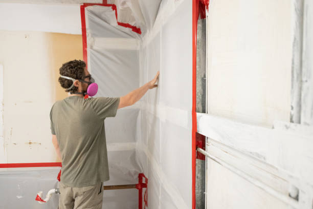 Best Environmental Consulting for Mold Prevention  in Coachella, CA