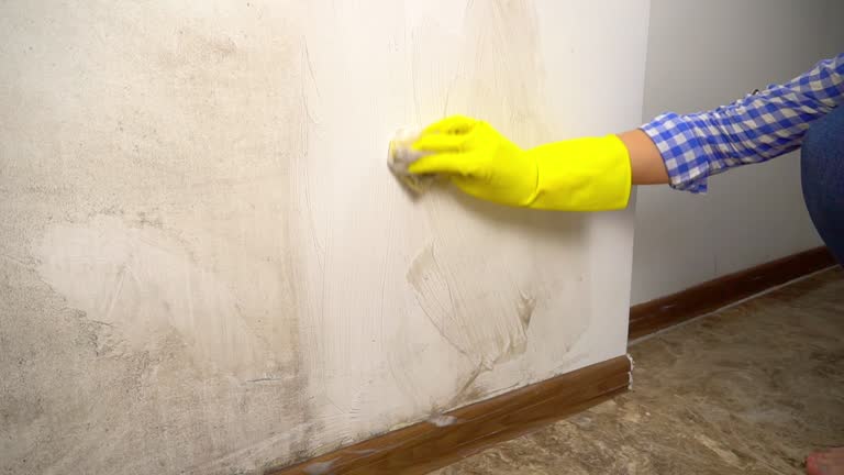 Best Water Damage & Mold Remediation  in Coachella, CA